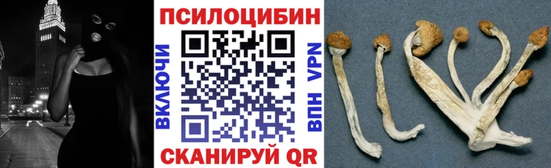 Псилоцибиновые грибы Psilocybine cubensis  Десногорск 